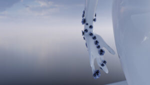 Detail-of-light-and-shadow-play-in-Bloom-In-Ruin,-contrasting-dark-and-light-flowers