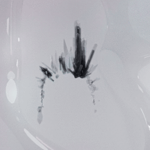 liminalduality2-cover-crop